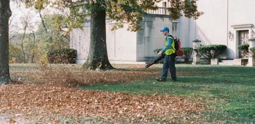 Seasonal & Specialty Services