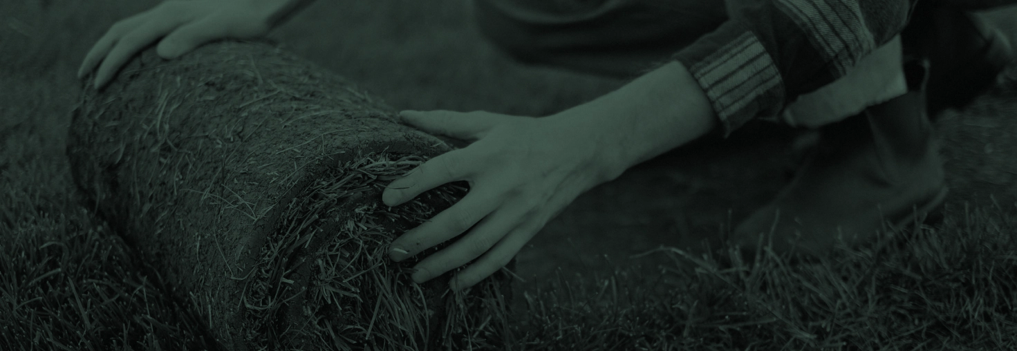 Sod installation